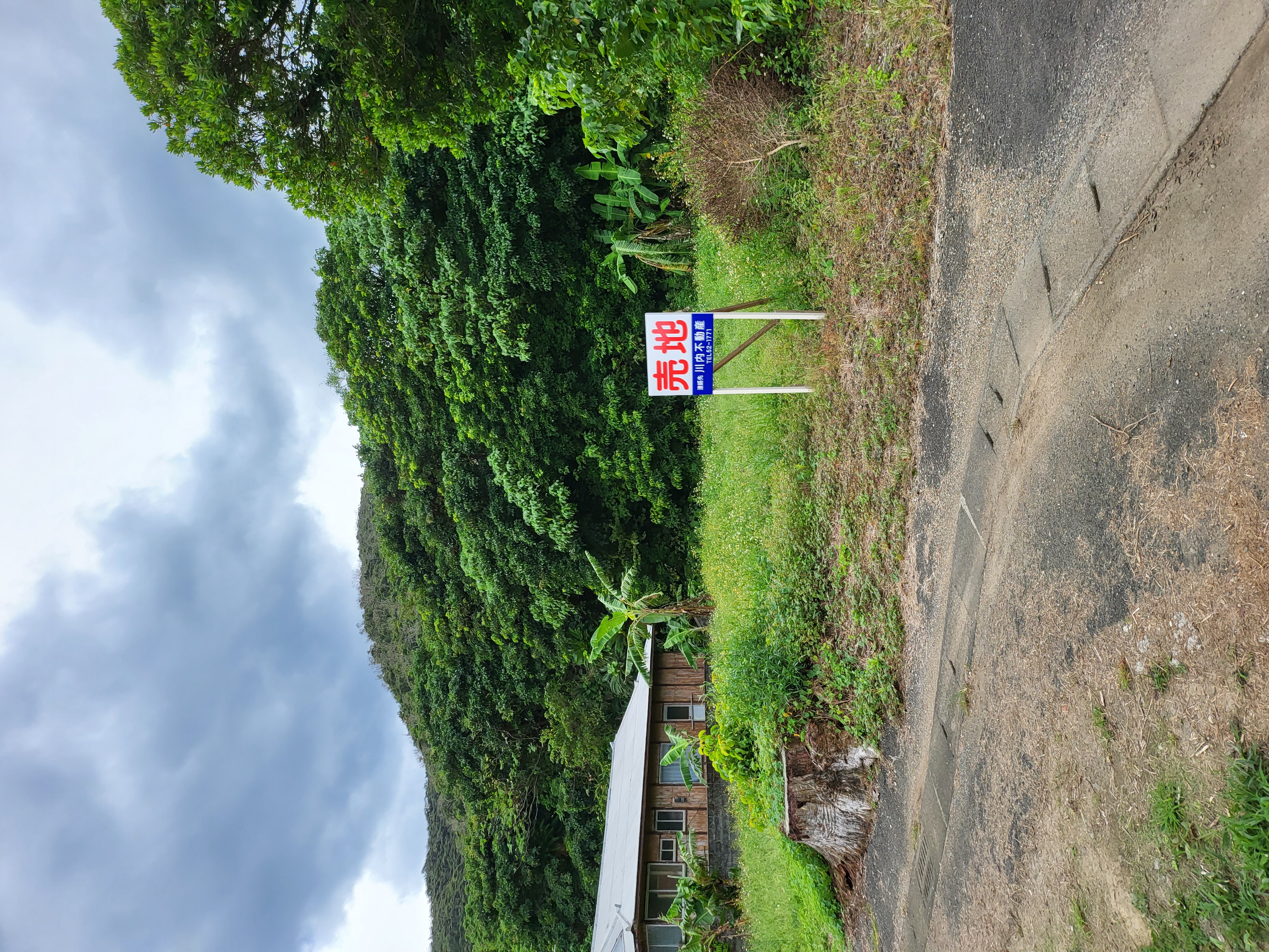 Amami Property View 1