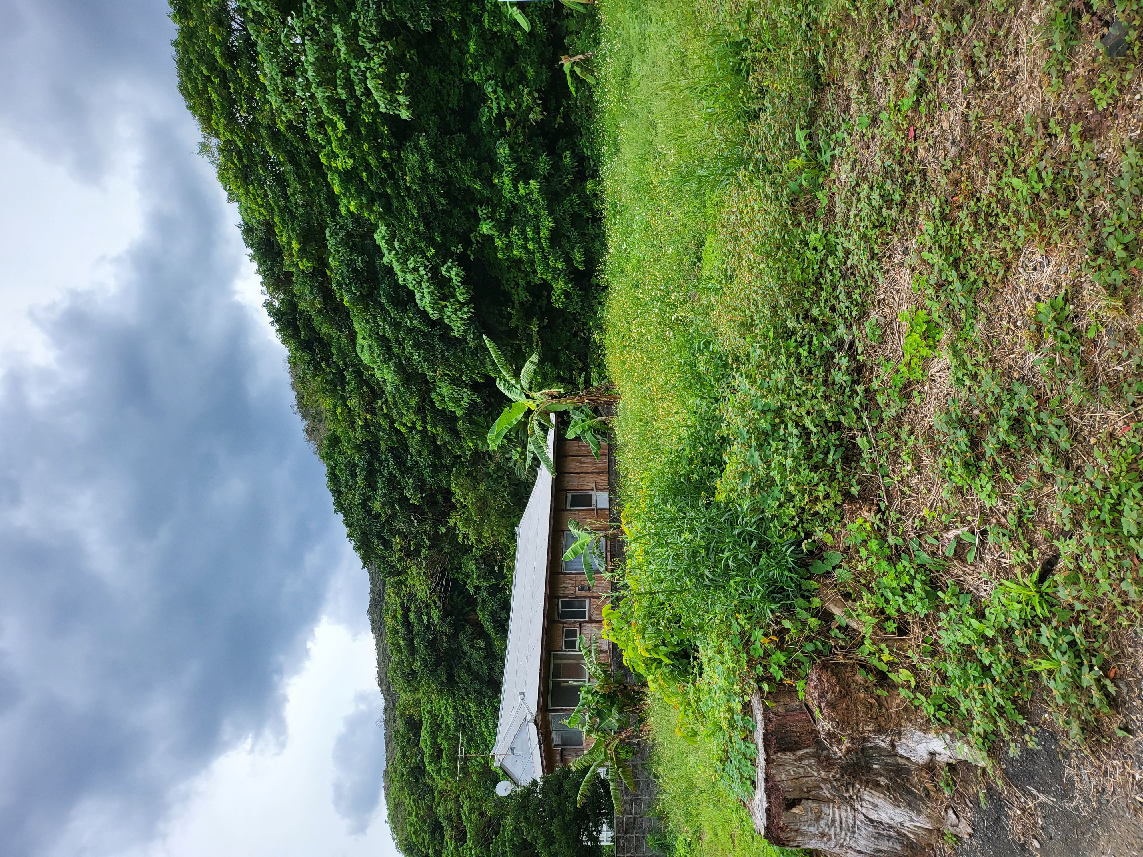 Amami Property View 3