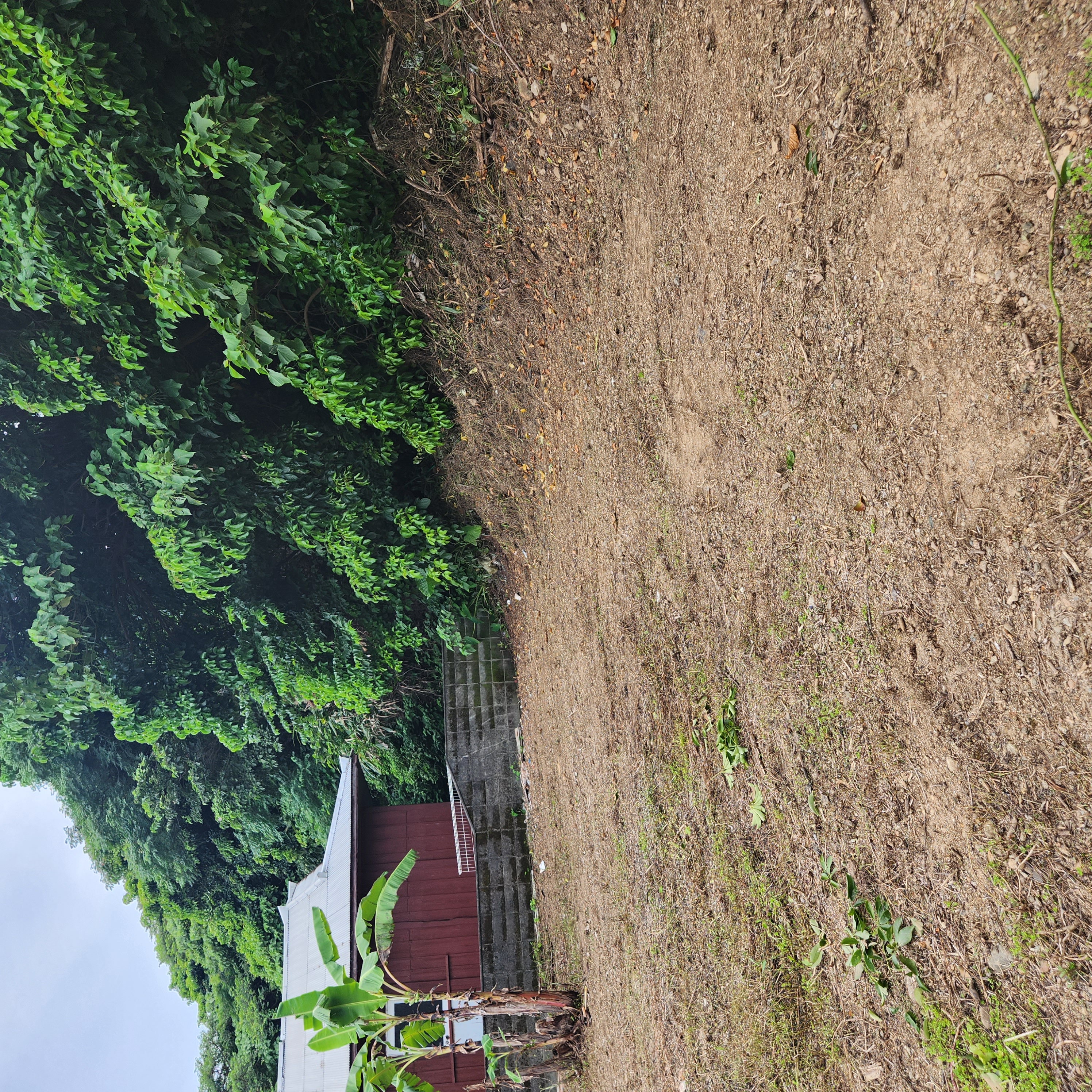 Amami Property View 5