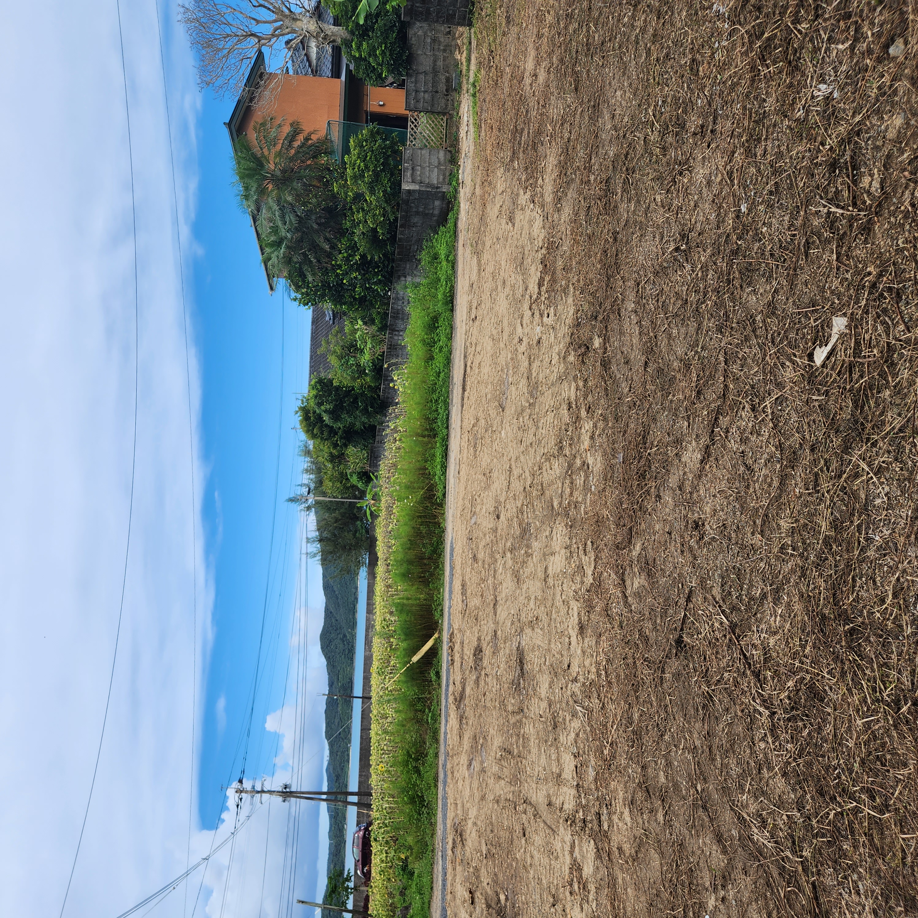 Amami Property View 6