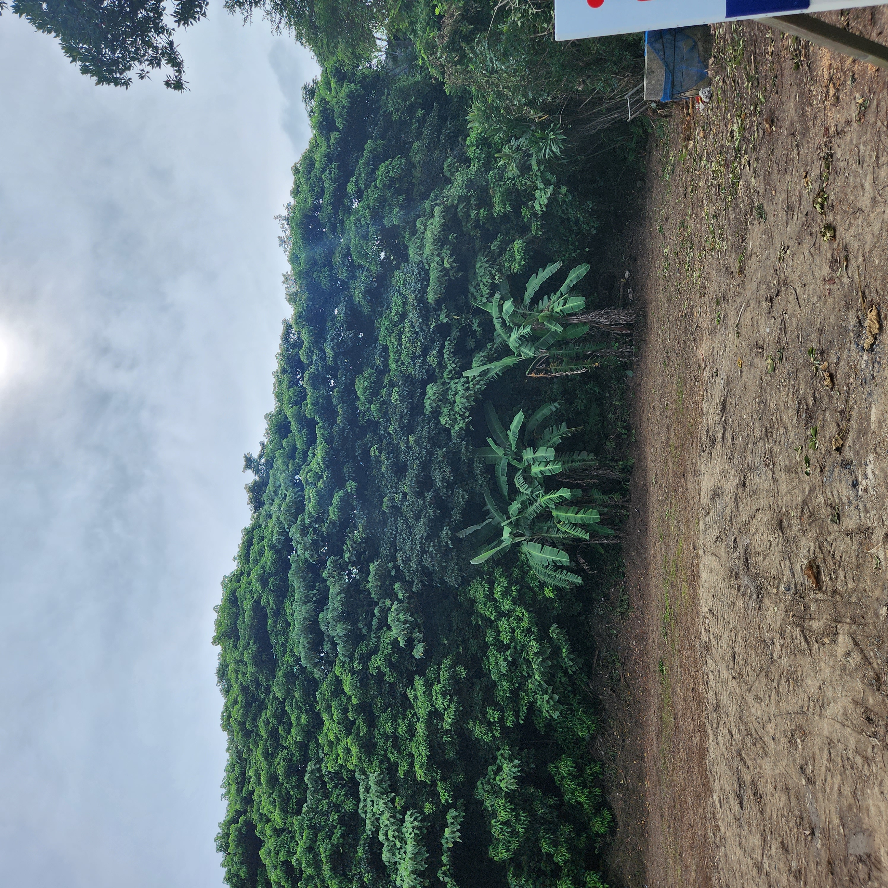 Amami Property View 7