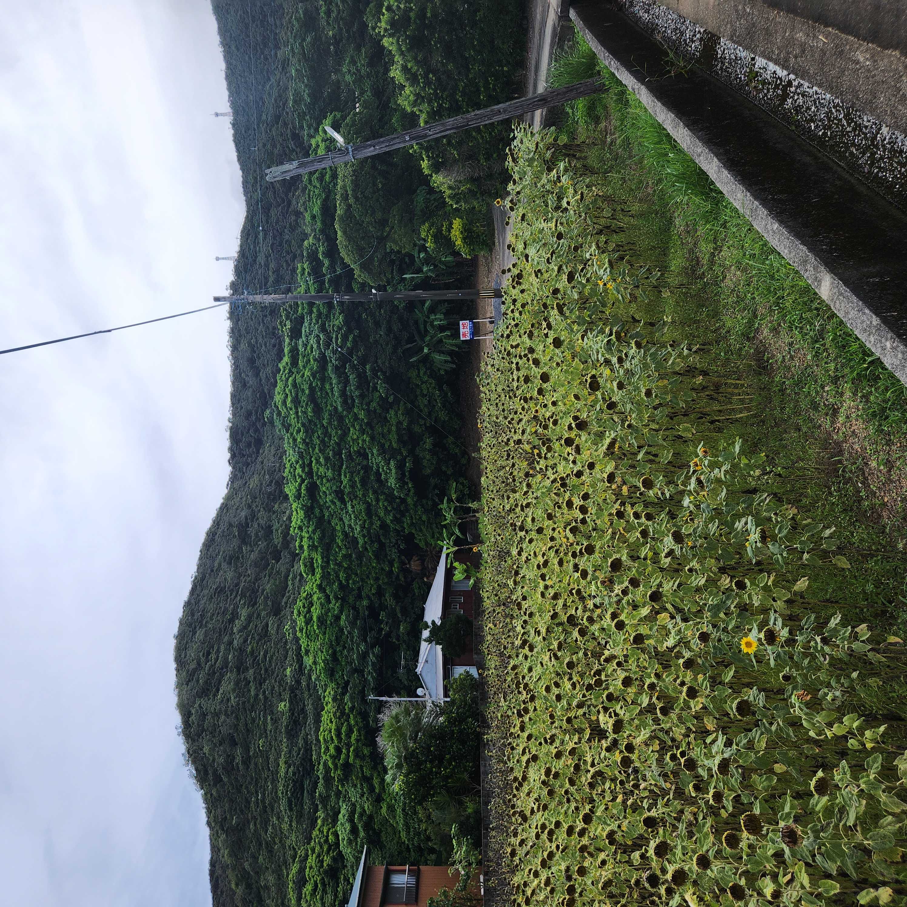 Amami Property View 8